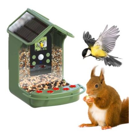 birdcam and feeder